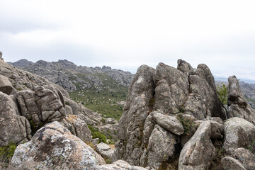 Scopriamo i Paesaggi Naturali Di Olbia e Dintorni 3 parco di limbara